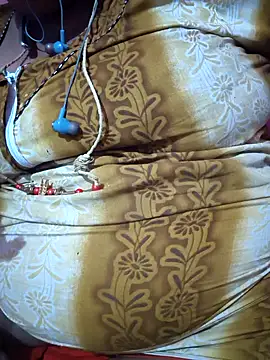 Show webcam de nilakutty