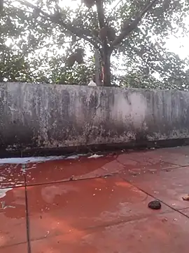 -Bianmi- Chat XXX live