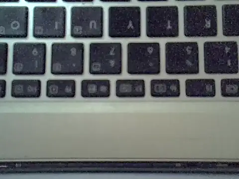 Delicious-D Pertunjukan Webcam