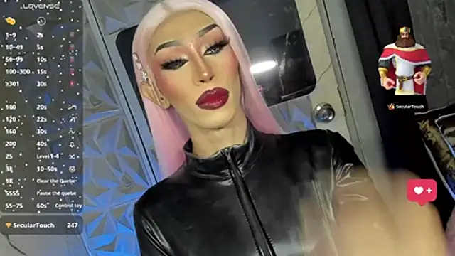 Show Webcam de anitacruise