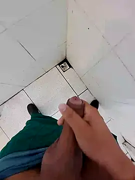 Show de tesaodaweb na webcam