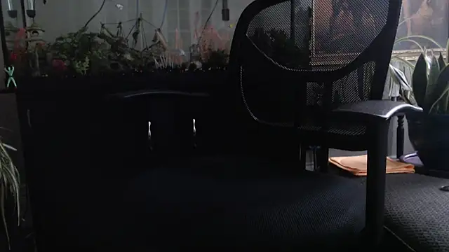 EspanolVato Show in webcam