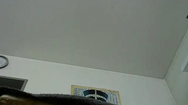 Webkamerová show pimmelmann3