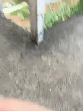 Show de May-Squirt na webcam