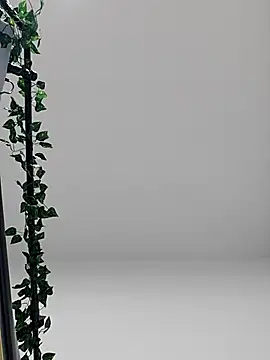 bingxin- Chat XXX in diretta