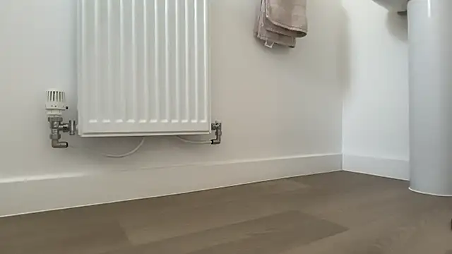 dirtyanal23 网络视讯表演