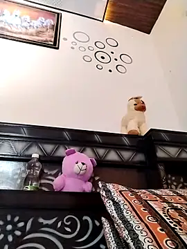 Wild_Vassuのウェブカメラショー