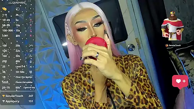 anitacruise Show Webcam