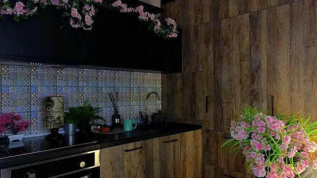 VesperSolacen Webbikameraesitys