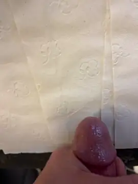 Webkamerová show Majestik1