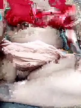 Show webcam de palakshar