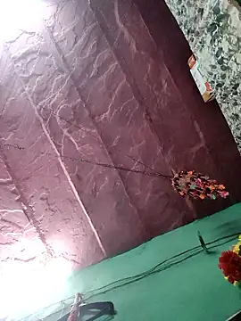 Show modela bhavna_pandit na web-kameri