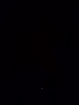 SaneBenadryl Webcam-Show