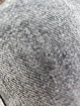 X-boy-11 ওয়েবক্যাম শো