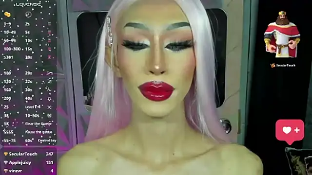 Show webcam de anitacruise