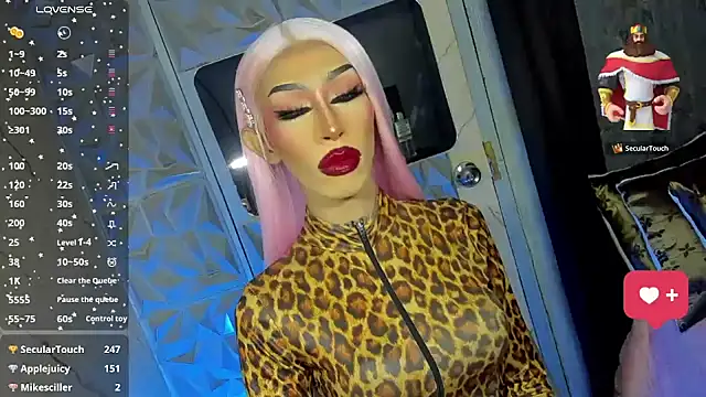 Webkamerová show anitacruise