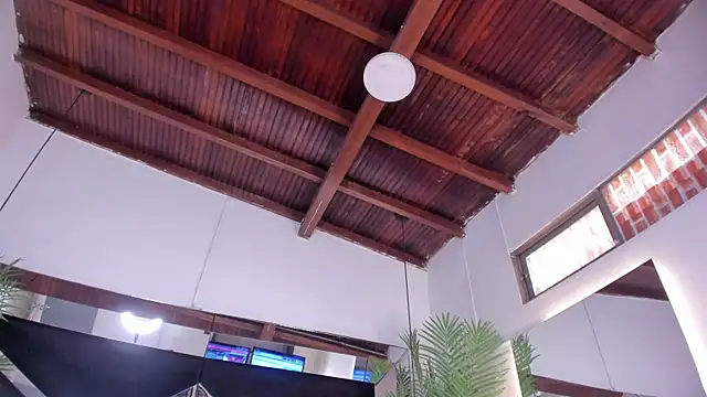 emily-fox লাইভ XXX চ্যাট