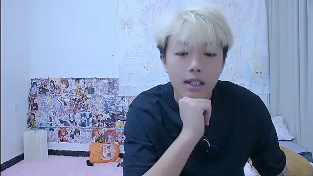 Chocolates-001 Show in webcam