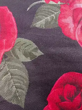 Show webcam de didihairypussy