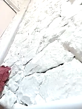 Mailsonpのウェブカメラショー