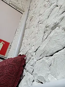 Mailsonpのウェブカメラショー