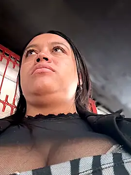 _Mia-Safety_Inspectorn Webbikameraesitys