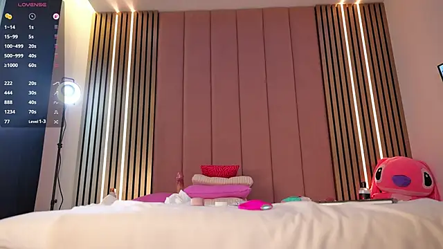 Vesyaのウェブカメラショー