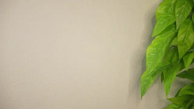 Sembang XXX Secara Langsung VennieLippe