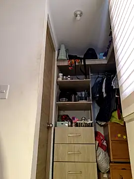 VelvetCurls live XXX chat