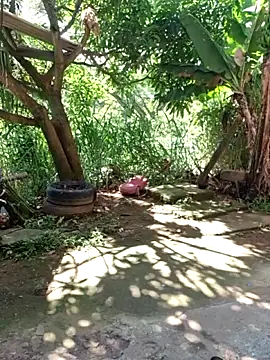 venusandzeus@xh Show in webcam