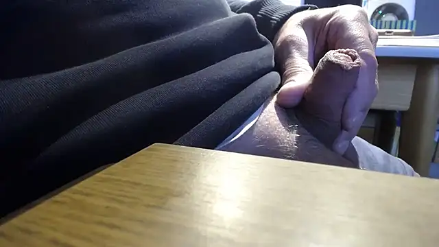 heiss1958n Webbikameraesitys