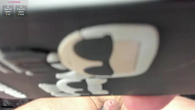 Show webcam de Adams_ricci