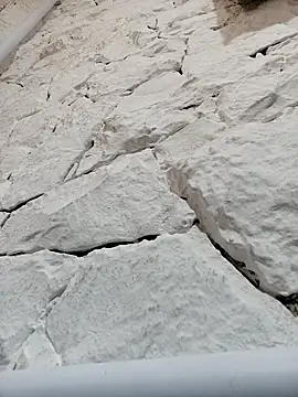 Mailsonp Show Webcam