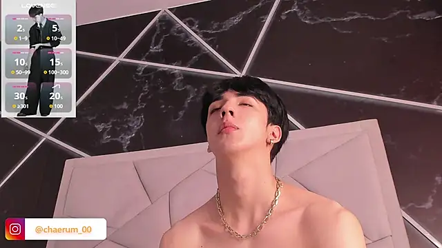 AerumChae 网络视讯表演