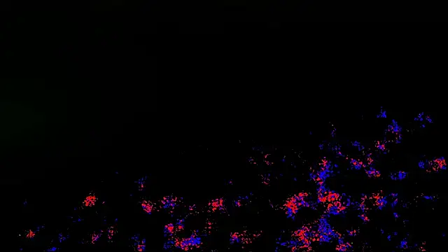 Nathan_chase – Naživo XXX chat