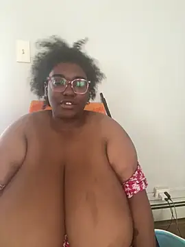 Pertunjukan Kamera Web bunbun420247