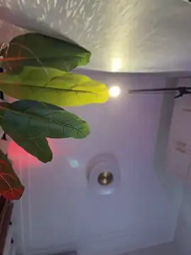 _WETSAND_ 即時 XXX 聊天