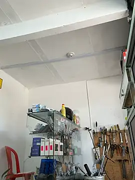 Pertunjukan Kamera Web Paul22cm-