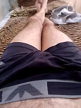 Show webcam de DomDix