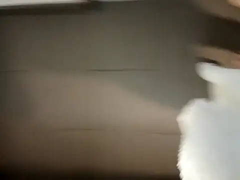 xxxavior69 Webcam Show