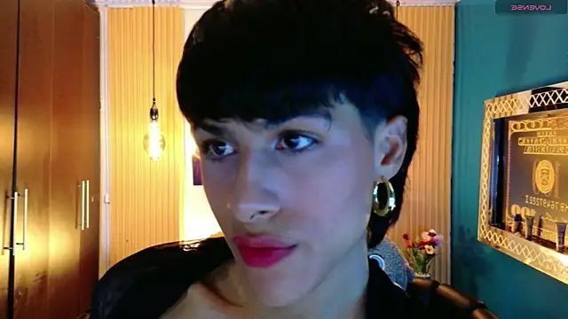 Evans_Robinson – Kamerová šou