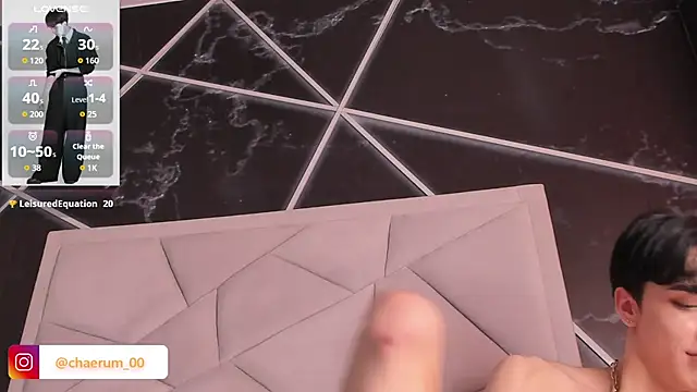 AerumChae's Webcam Show