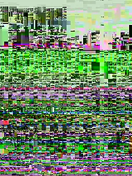 XRIIX Pertunjukan Webcam