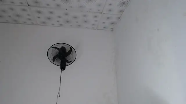 Czat XXX na żywo – hares_mds