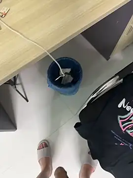 Show Webcam de L7D8521