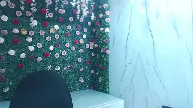 ManSant: вебкам-шоу