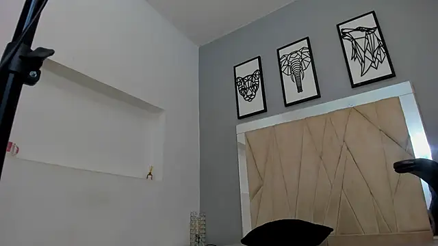 عرض كام adams_bobby