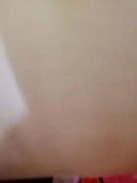 Lina-Strip Pertunjukan Webcam