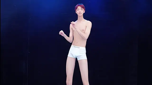 Show Webcam de Eraser711