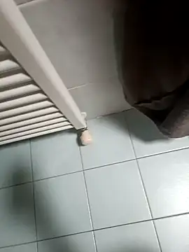 Lance17cmh Webcamshow